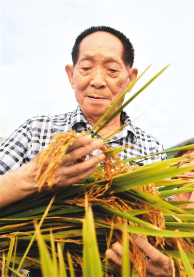 "杂交水稻之父"袁隆平院士——一稻济世 万家粮足