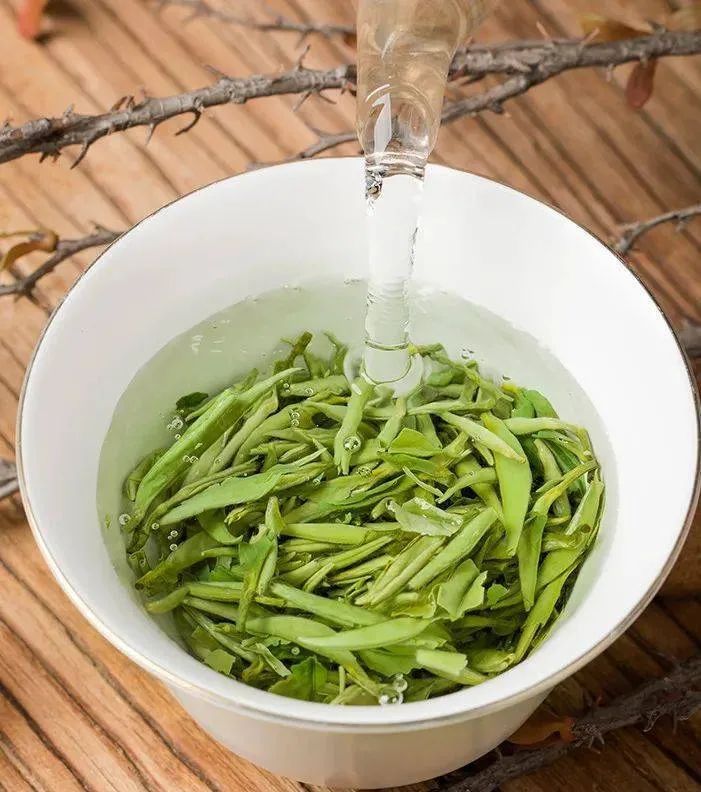 朱虹 龙溪虎:永新白茶 独具四香-江西新闻网