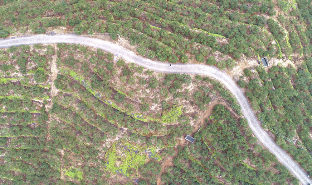 江西省永丰县各乡镇GDP_省100县 市 区 GDP排行出炉,赣州多地上榜