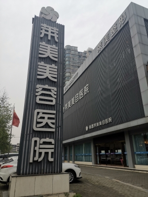 莱美美容医院的“精神堡垒”立在人行道上