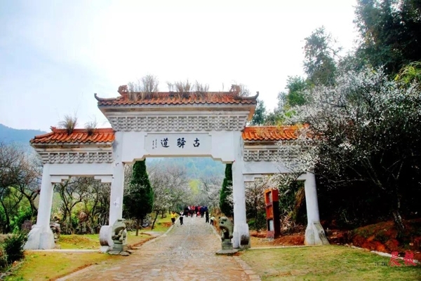 ▲赣州市大余县梅关古驿道 景区供图