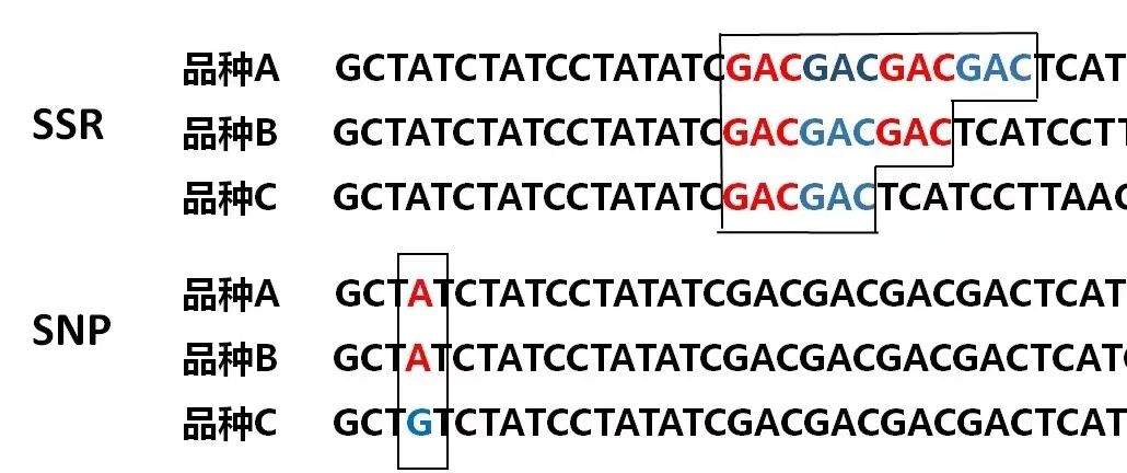 zhong3.png?x-oss-process=style/w10