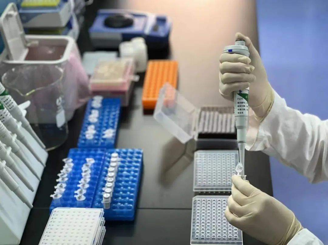 zhong2.png?x-oss-process=style/w10