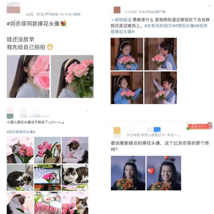 进化刘亦菲.jpg