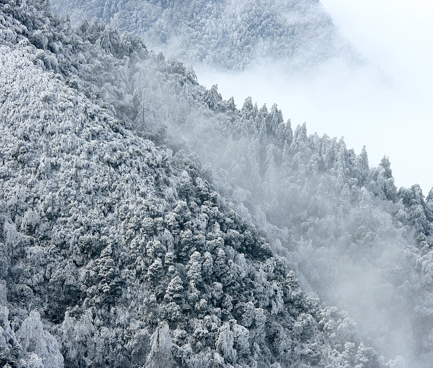 井冈山雪景图片