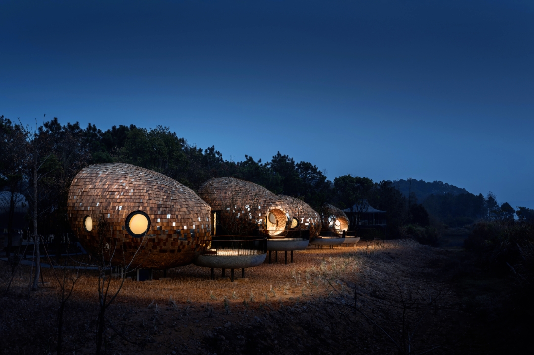 新余仙女湖树蛙部落夜晚更迷人 | 丰城头条